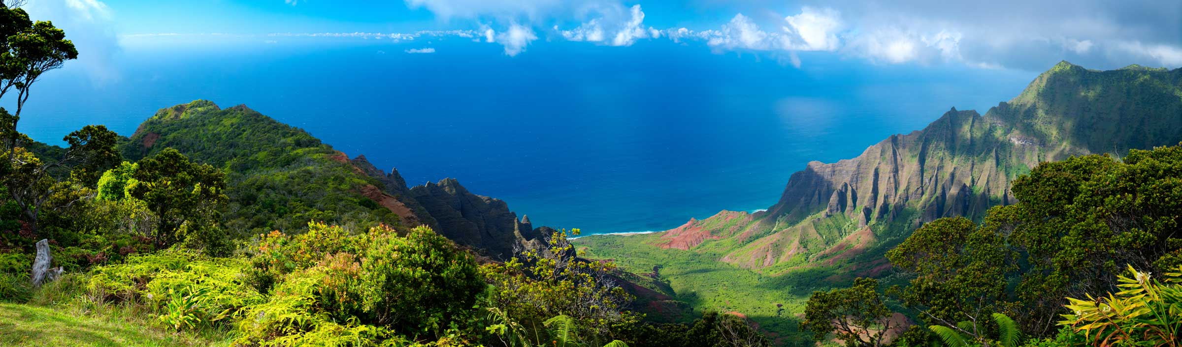 Kauai from trails