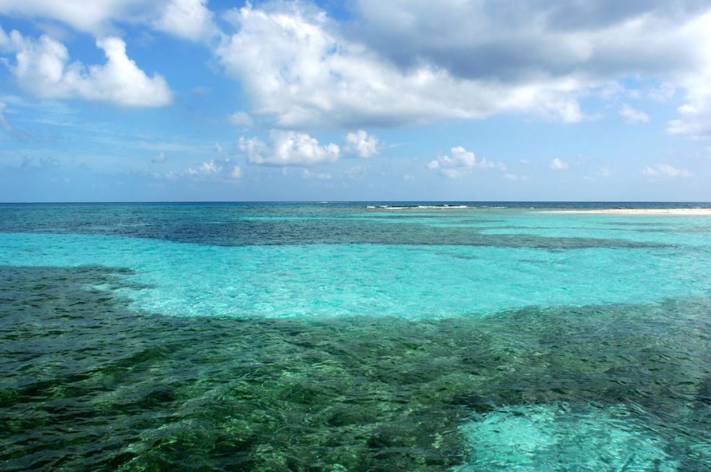 Reef in Belize