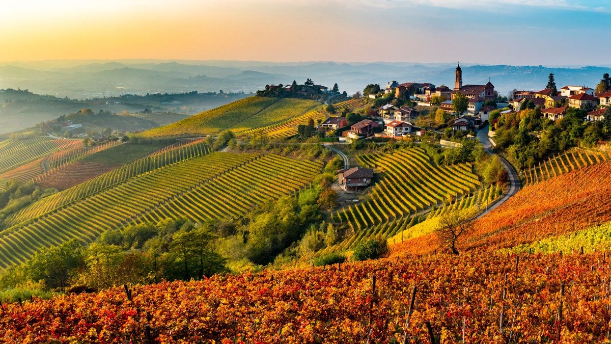 Langhe Italy